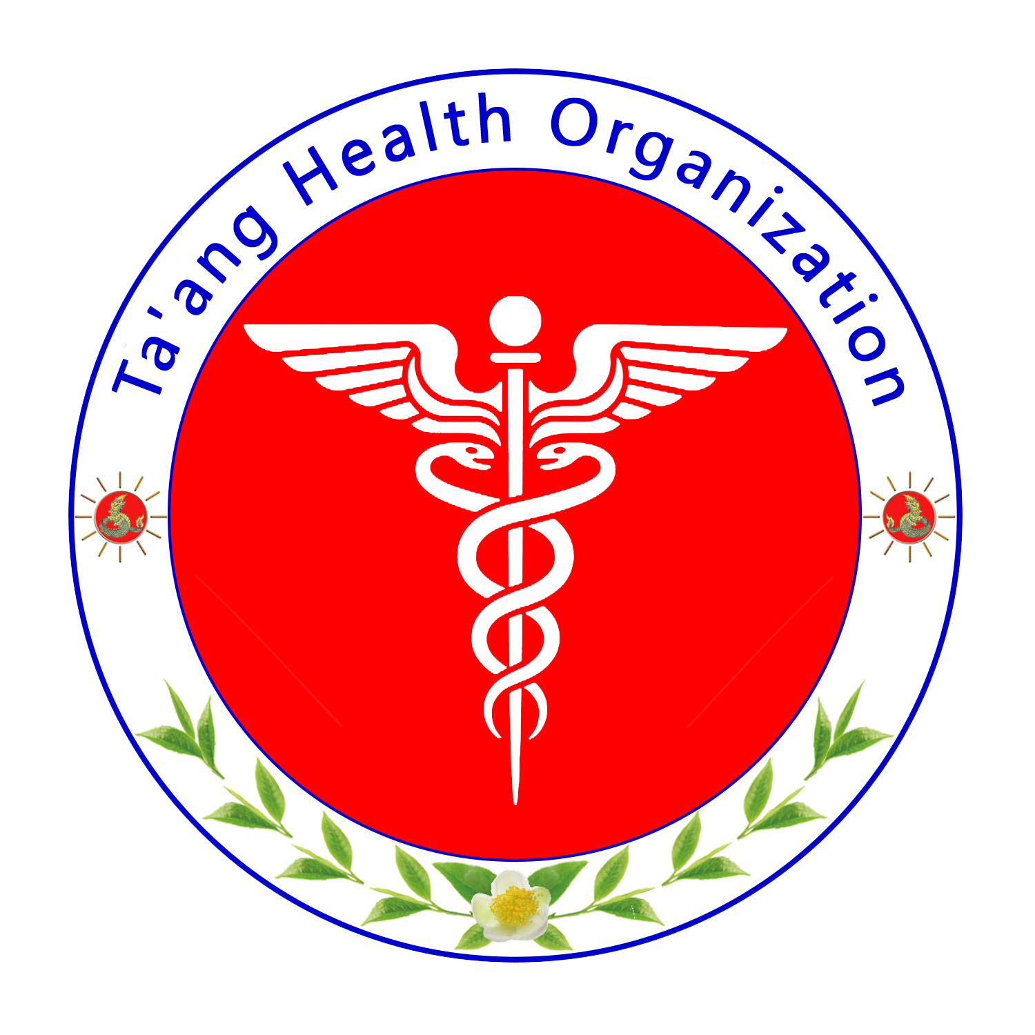 Ta'ang Health Organization(THO)